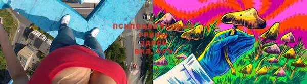 mdpv Володарск