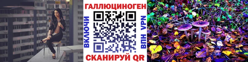 купить наркотик  Новочебоксарск  Галлюциногенные грибы Psilocybine cubensis 